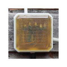 CELLPACK 420083 CG Box kötődoboz készlet