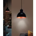 Eglo 49238 függeszték lámpatest E27 60W 21cm TRURO 1