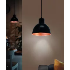 Eglo 49238 függeszték lámpatest E27 60W 21cm TRURO 1