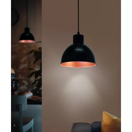 Eglo 49238 függeszték lámpatest E27 60W 21cm TRURO 1