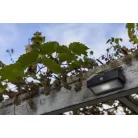 Lutec 6910601335 Arrow solar fali LED lámpa, PIR világos sötétszürke