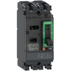 Schneider C10F2TM020 NSX100F 18kA AC-DC 2P 20A TMD