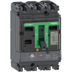 Schneider C16H3TM100 NSX160H 70kA AC 3P3D 100A TMD