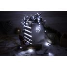 Tracon CHRSTOP100CW Karácsonyi programozható fényfüzér, kültéri/beltéri 230VAC, 2+10M, 100LED, 3,6W, 12000-13000K, IP44