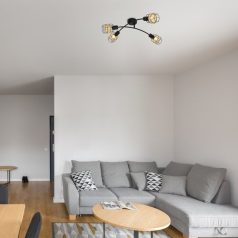   Rábalux 5282 Indiana beltéri mennyezeti lámpa, matt fekete, 4xE14, 25W