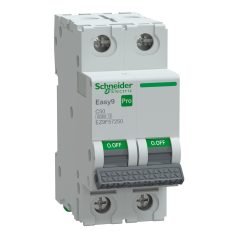 Schneider EZ9F57250 EASY9 PRO kismegszakító 2P/C/50A 6kA