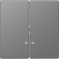   Schneider MTN3420-6036 MERTEN D-Life Dupla billentyű, fényjelzős funkciókhoz, acél