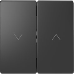   Schneider MTN3855-6034 MERTEN D-Life Dupla billentyű, redőnyvezérléshez, antracit