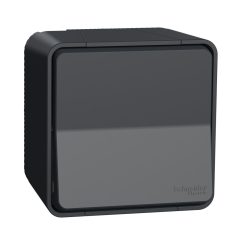   Schneider MUR35026 MUREVA Styl Egypólusú nyomó, komplett, komplett (101N), antracitszürke