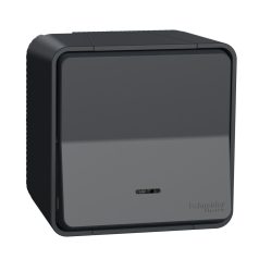   Schneider MUR35028 MUREVA Styl Egypólusú nyomó, jelzőfénnyel, komplett, antracitszürke