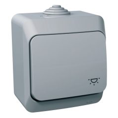   Schneider WDE000613 CEDAR PLUS Egypólusú nyomó, lámpajellel, IP44, szürke