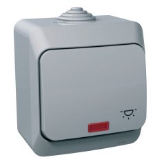   Schneider WDE000616 CEDAR PLUS Egypólusú nyomó lámpajellel, jelzőfénnyel, IP44, szürke