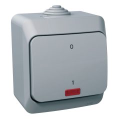   Schneider WDE000621 CEDAR PLUS Kétpólusú kapcsoló, jelzőfénnyel, IP44, szürke