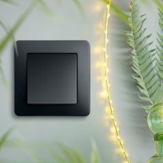 SEDNA Design & Elements